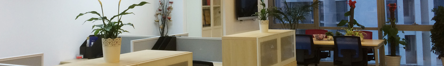 Responsive image